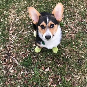 Meet your Posher, Danelle